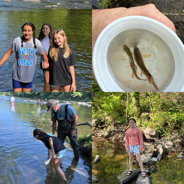 trout release field trip