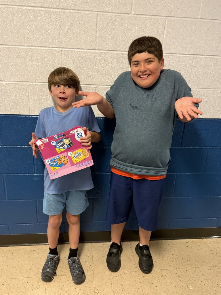3rd grade egg drop