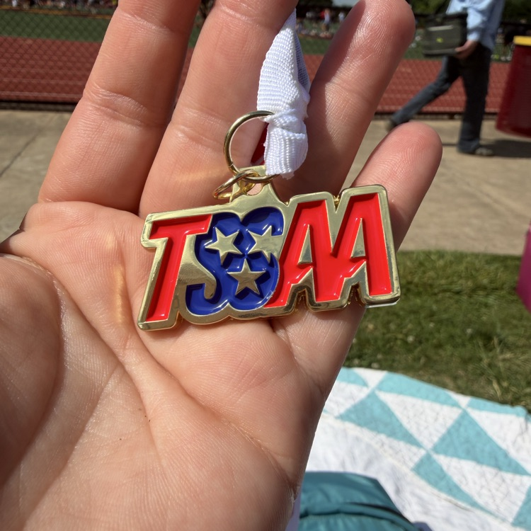 Northstar competes at sectional track meet