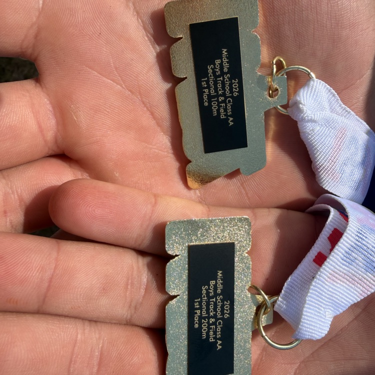 Northstar competes at sectional track meet