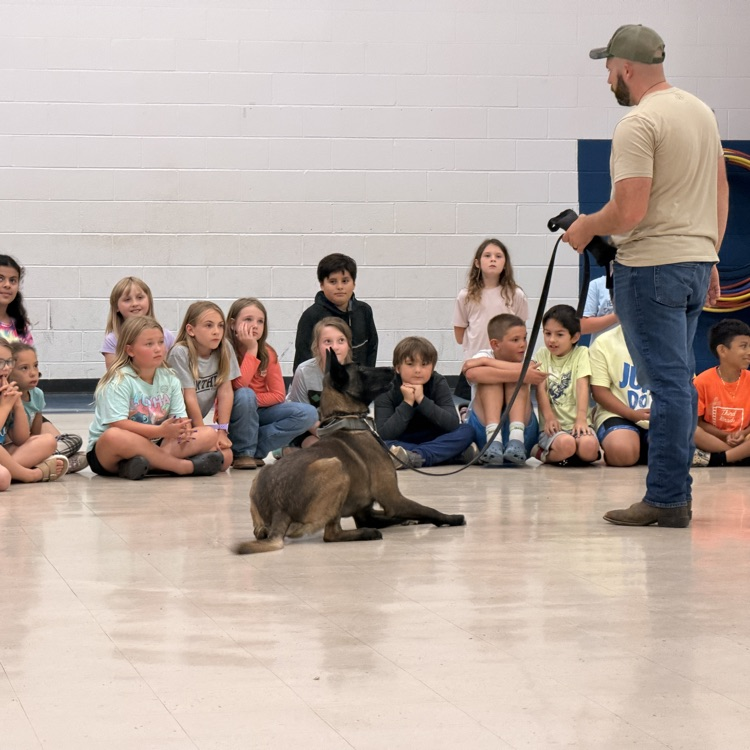 k9 visit