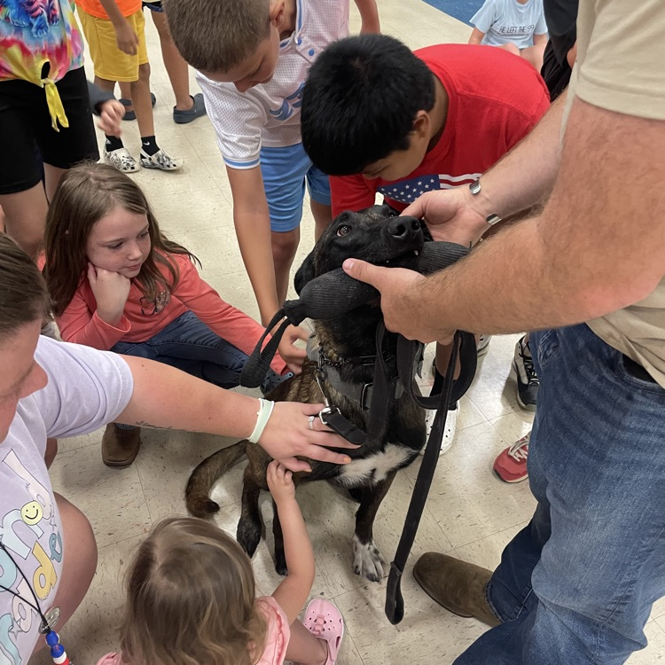 k9 visit