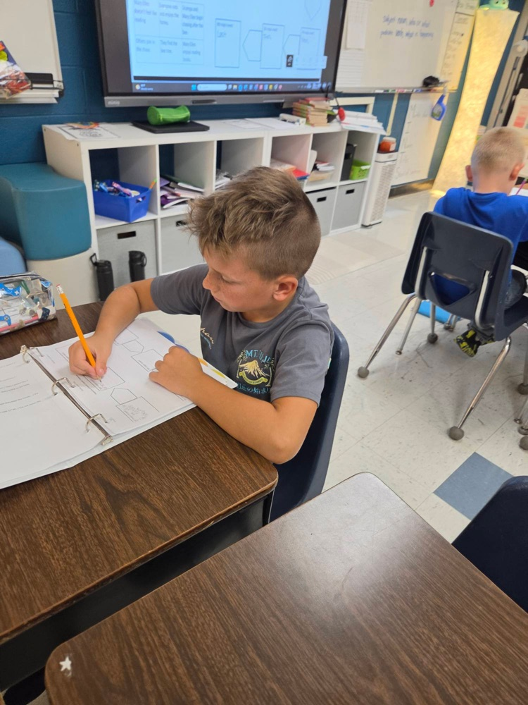 student writing on graphic organizer 