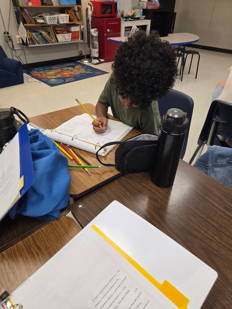 student writing on graphic organizer 