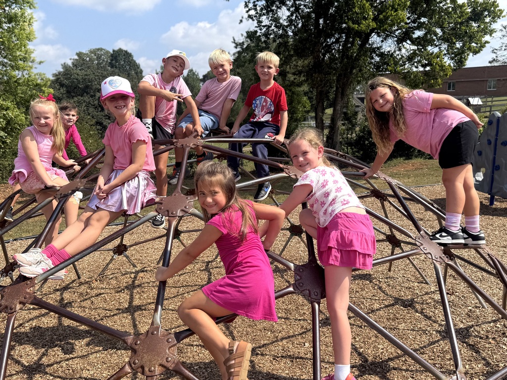 Group of young children, some in pink dresses, climbing and playing on a metal structure in a park.