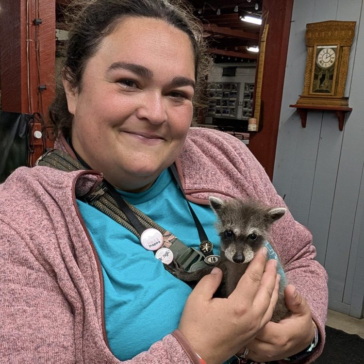Woman wearing pink jacket holds baby raccoon with fur and black eyes in front of wall.