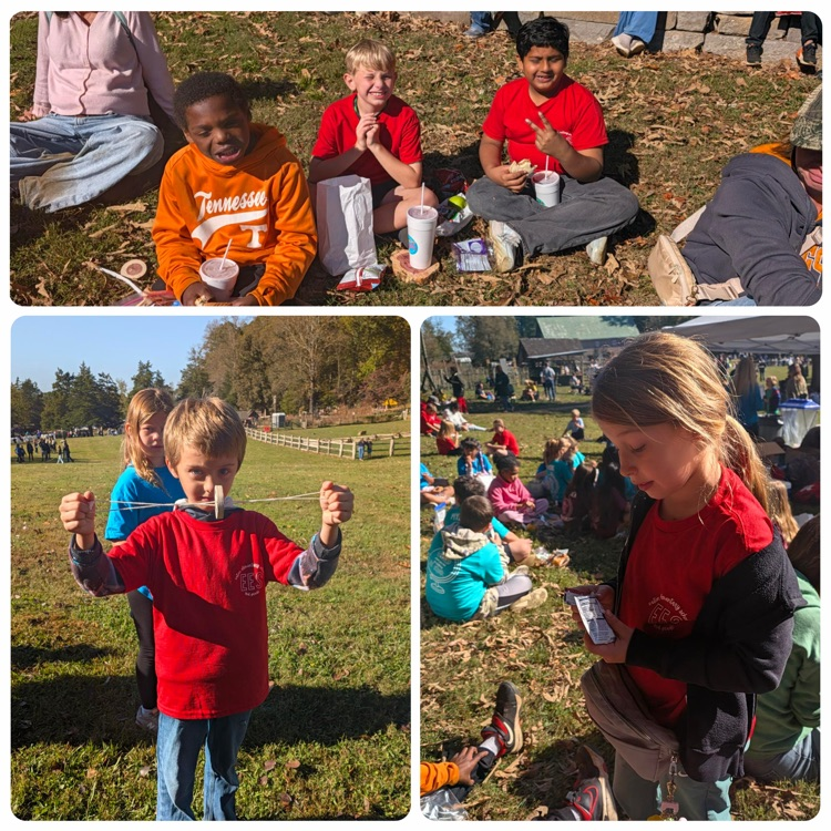 Four photos of students outdoors. Some sitting on grass, some standing. One child holds a small object.