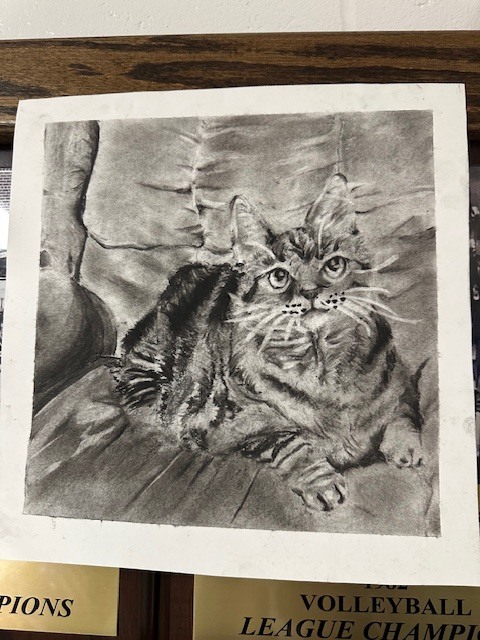 Hand drawn cat portrait.