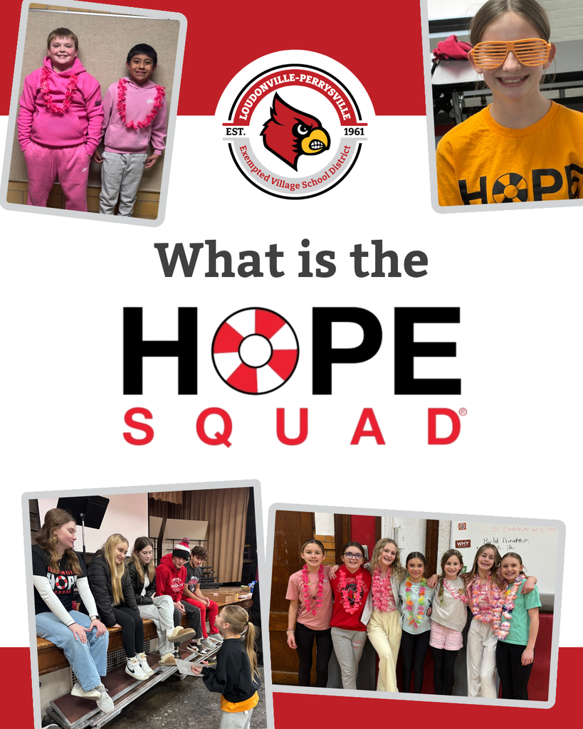 What is The Hope Squad