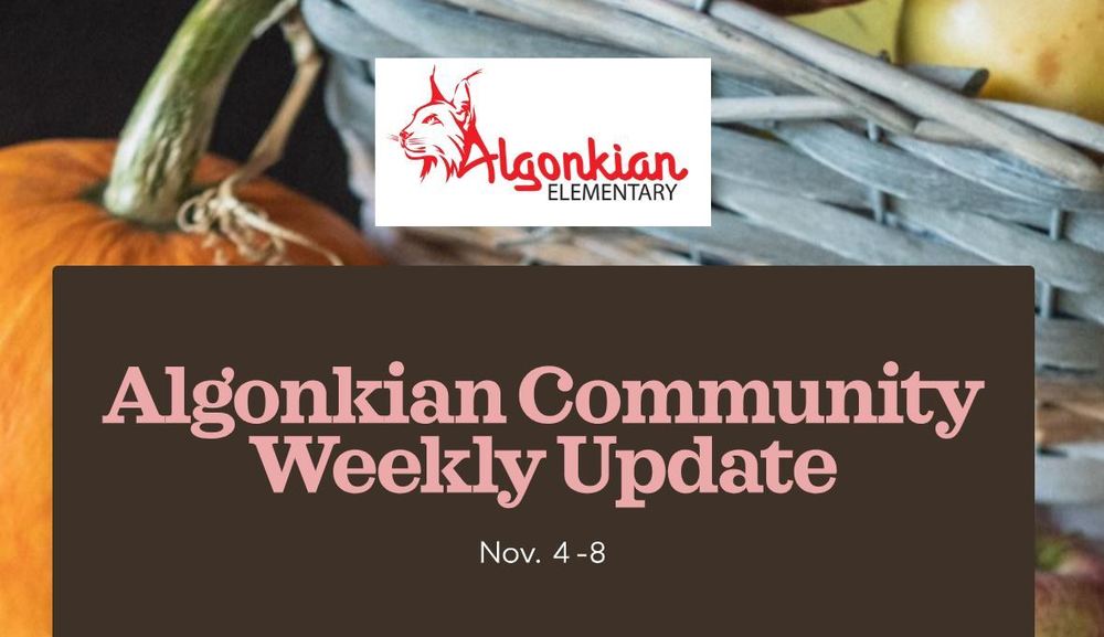 Update Nov 4-8