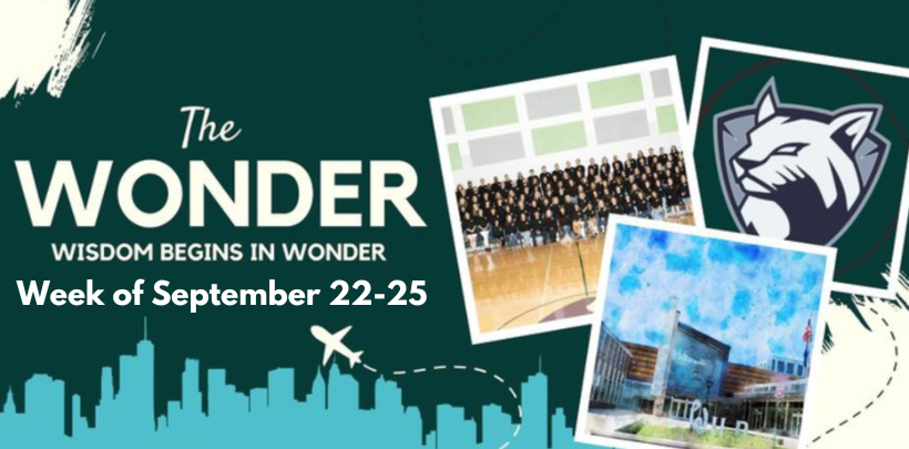 The Wonder
