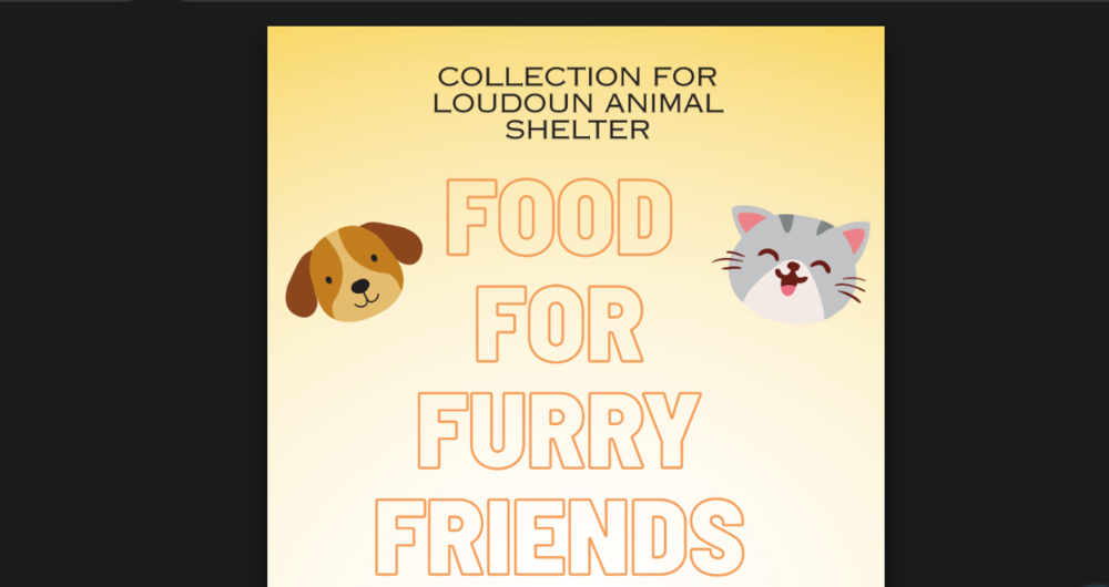 Collection for Loudoun Animal Shelter Food for Furry Friends