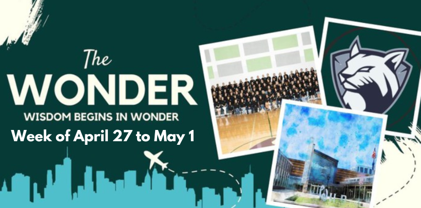 The Wonder