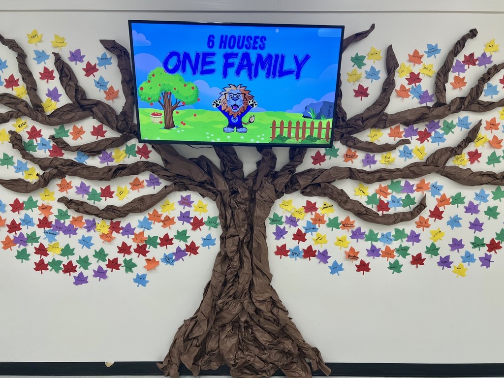 Large classroom wall display features a tree made of crumpled brown paper with colorful paper leaves, each labeled with student names.