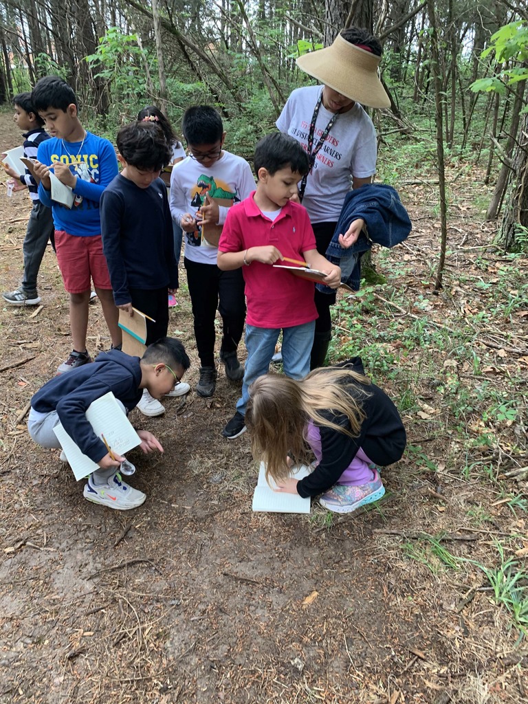 A group of children and an adult exploring a forest trail, observing the ground and taking notes in notebooks.