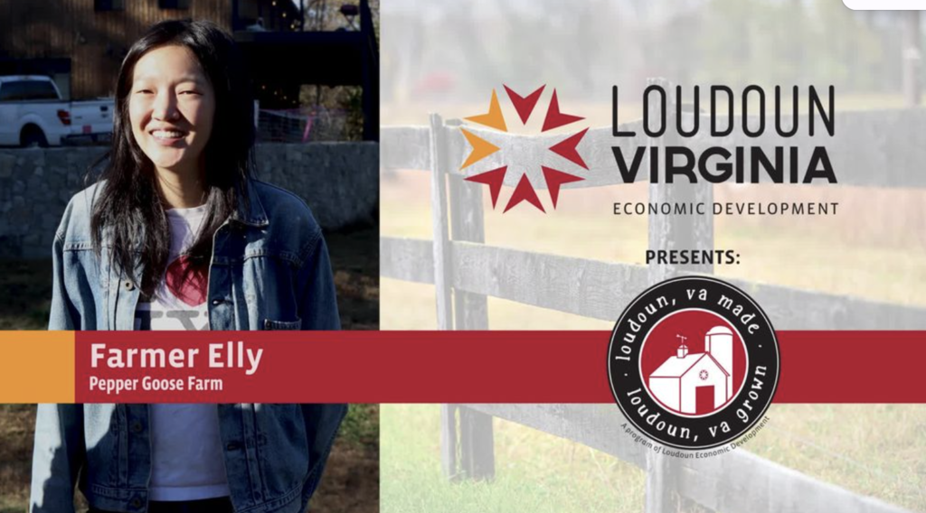 Farmer Elly from Pepper Goose Farm standing outdoors with a wooden fence and rural landscape in the background, featured by Loudoun Virginia Economic Development.