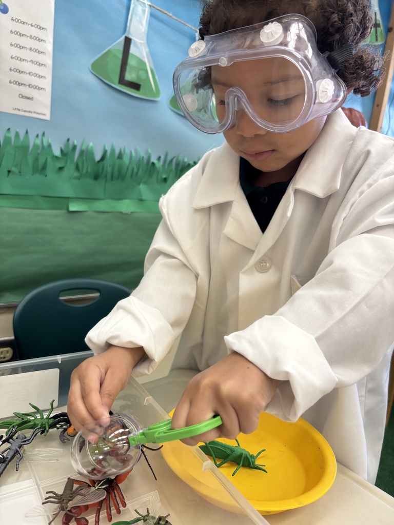 Student playing with plastic insects