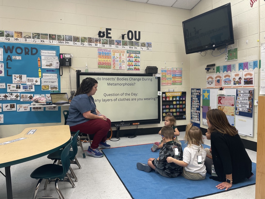 Students sitting in front of the board learning about insects and metamorphisis.