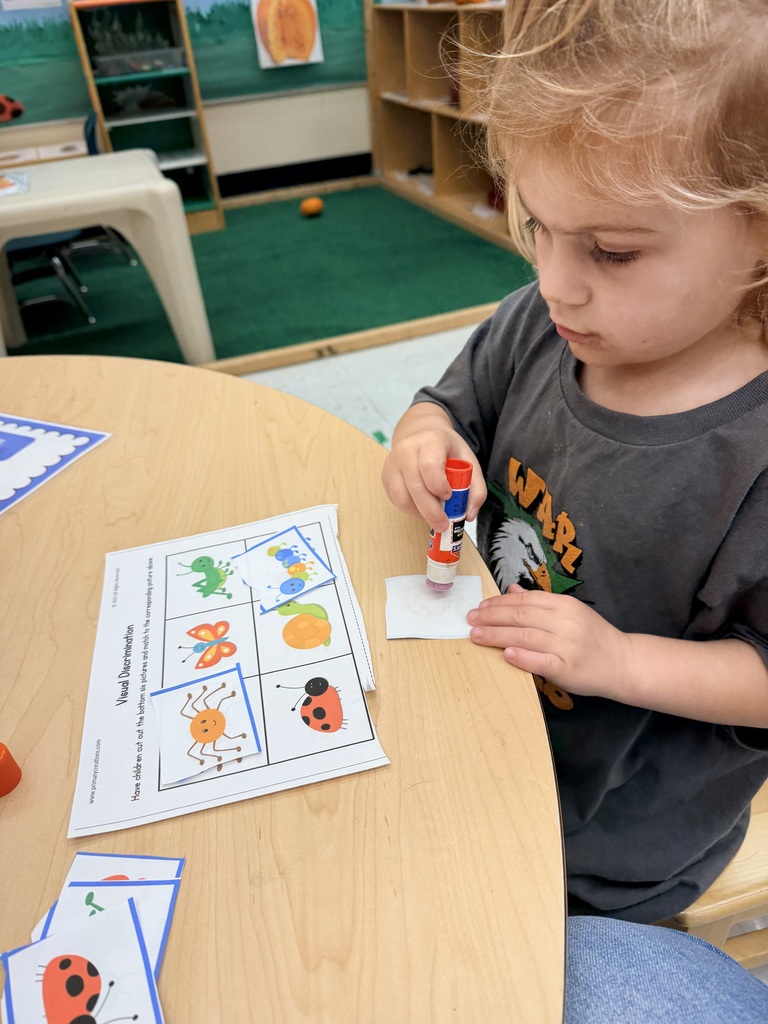 Student using a glue stick on an insect worksheet