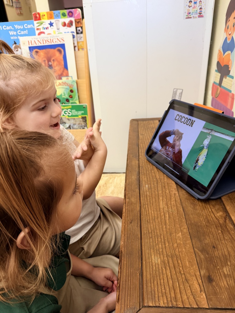 Two students looking at an insect video on an ipad