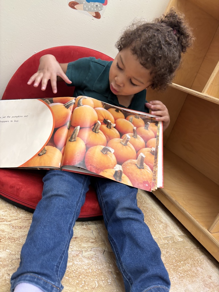 Student reading a pumpkin book. 