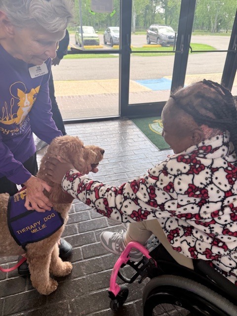 Student petting a dog