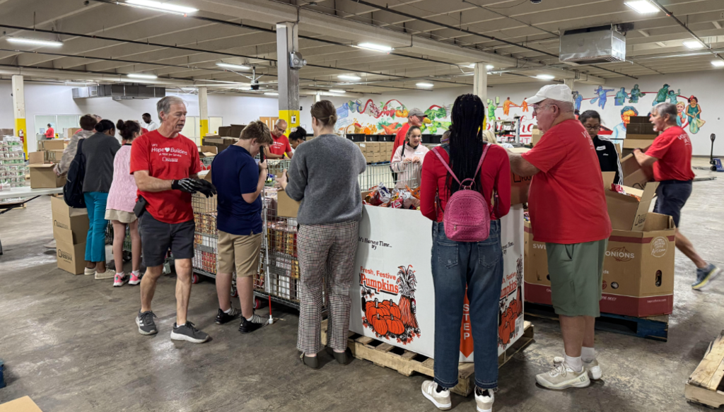Multiple volunteers work together in a large warehouse, sorting and packing donated food items into large collection bins and boxes. Food Bank volunteers are gathered around pallets and containers preparing food for distribution to the community.