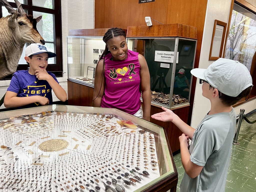 Girl counselor discussing nature at museum with two boys