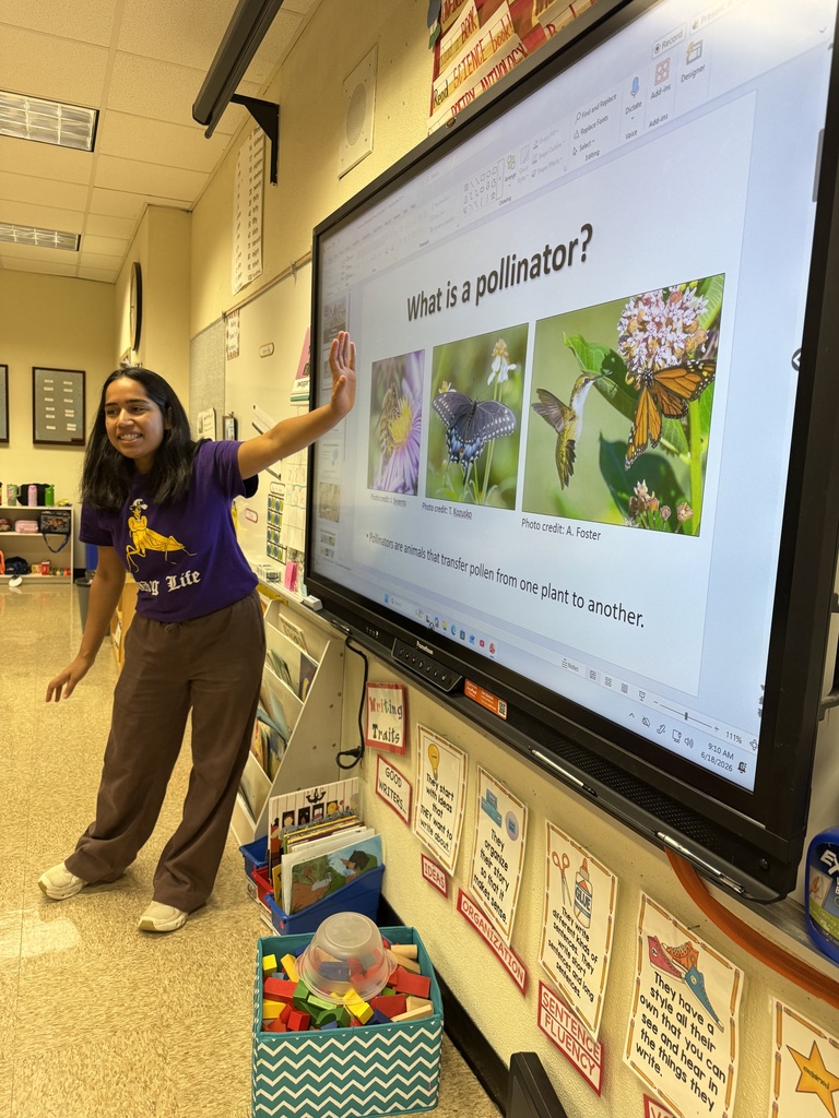 Presenter discussing bugs and pollination