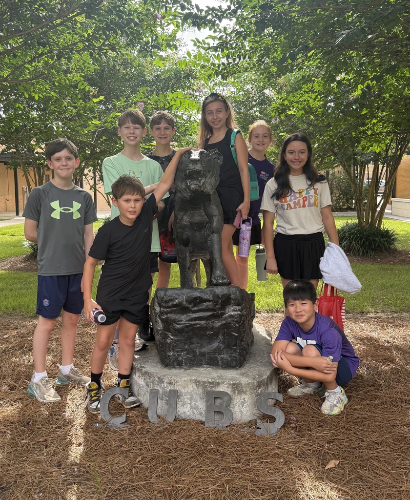 group of students outside on a sunny day posed around the ULS cub statue