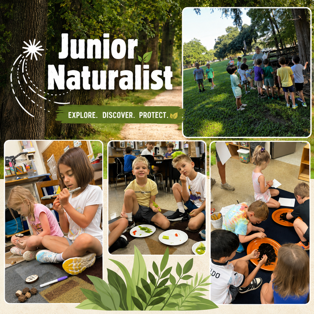 green nature theme graphic with four pictures of campers interacting in learning using dirt, rocks, leaves and outdoor exploration.
