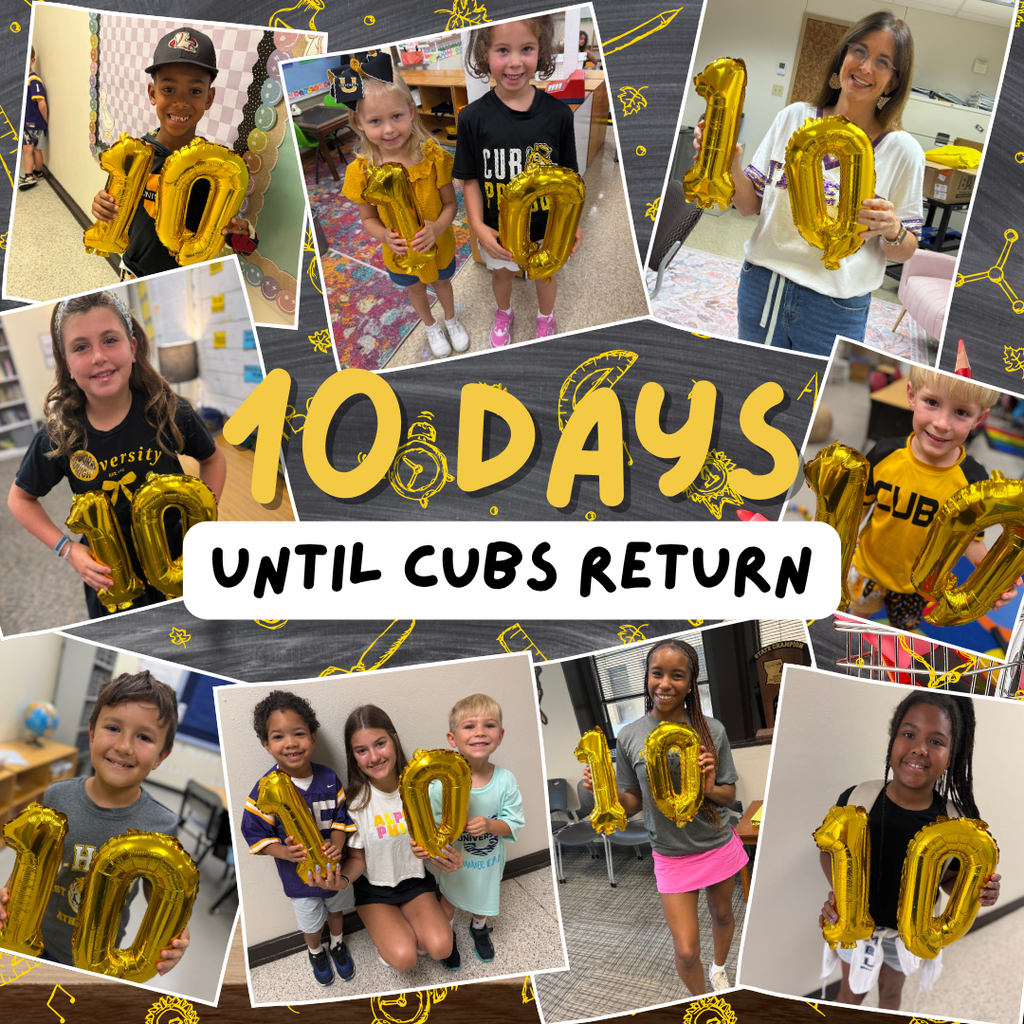 10 Days until Cubs Return