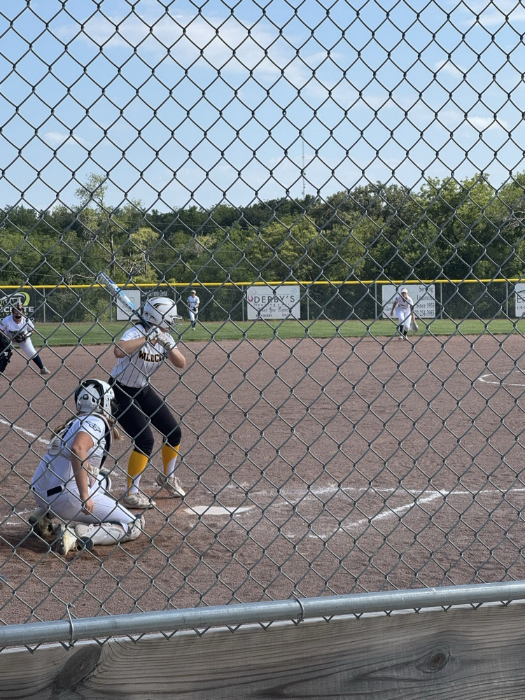 wildcat softball