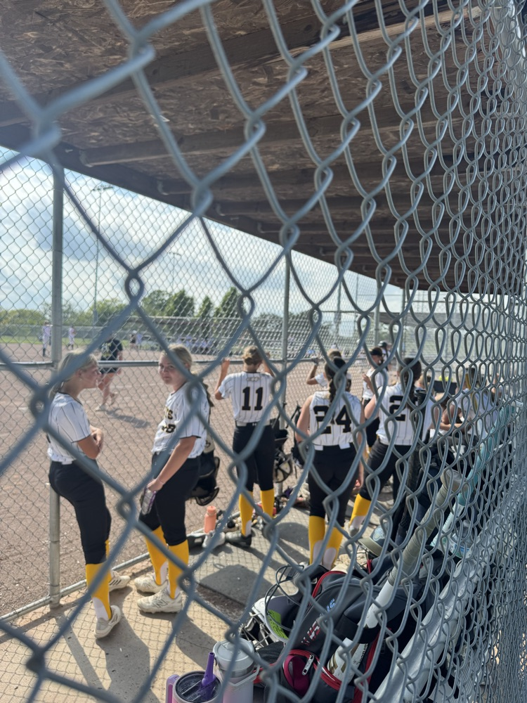 wildcat softball