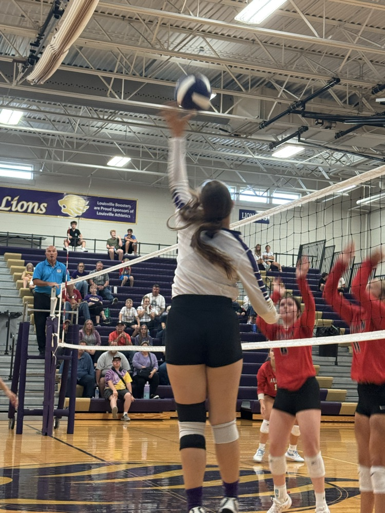 volleyball