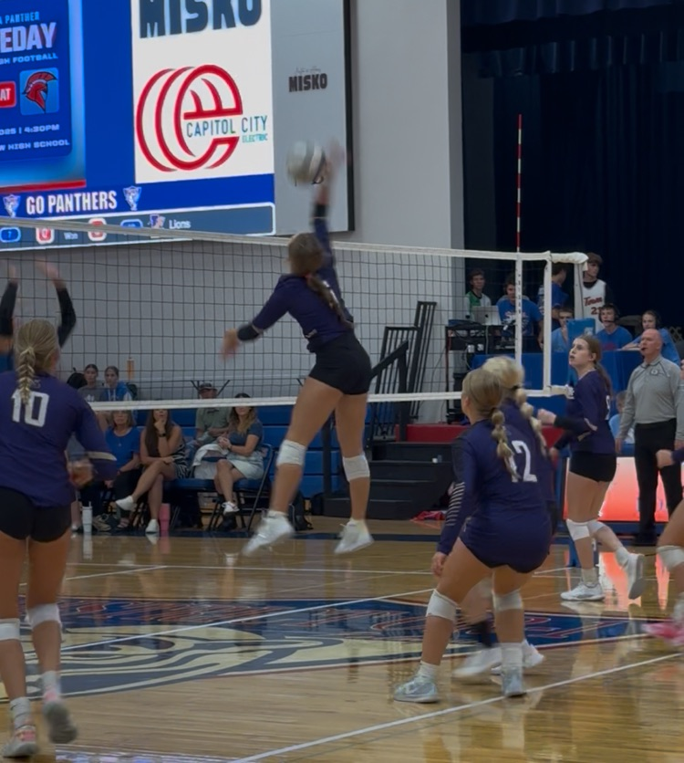 VB vs Palmyra