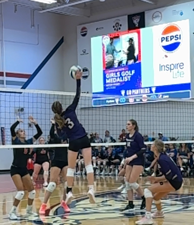 VB vs Palmyra