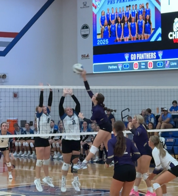 VB vs Palmyra