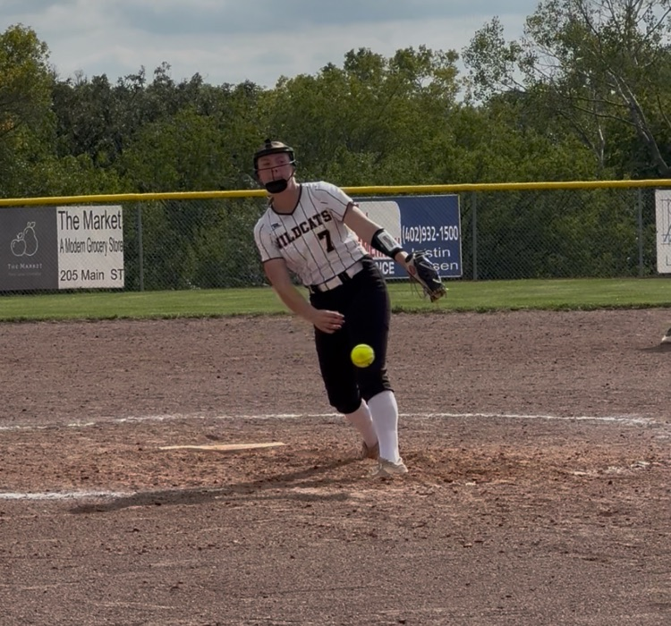 Cass Wildcat softball 