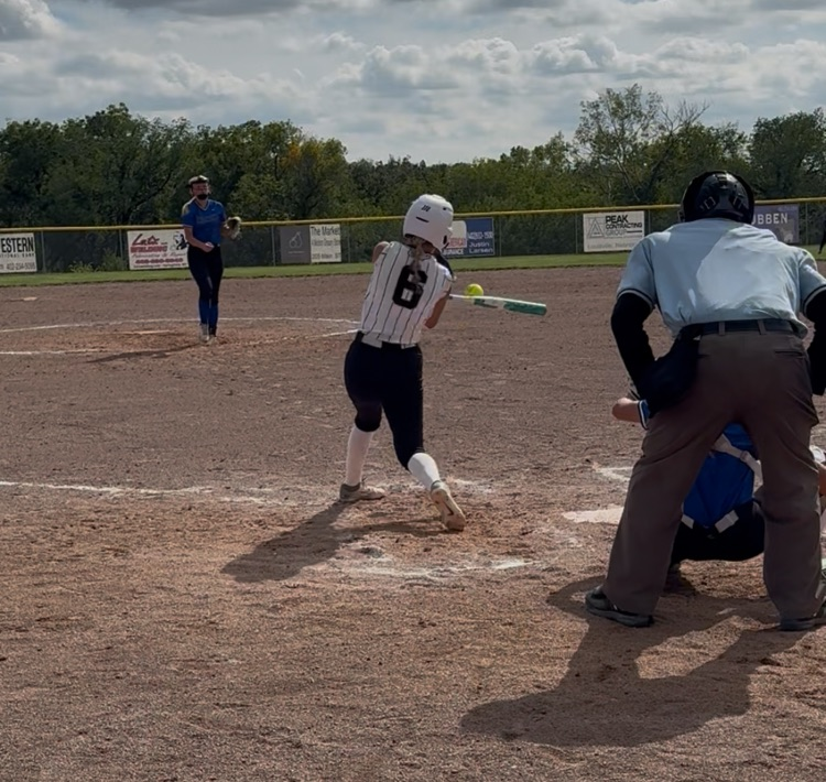 Cass Wildcat softball 