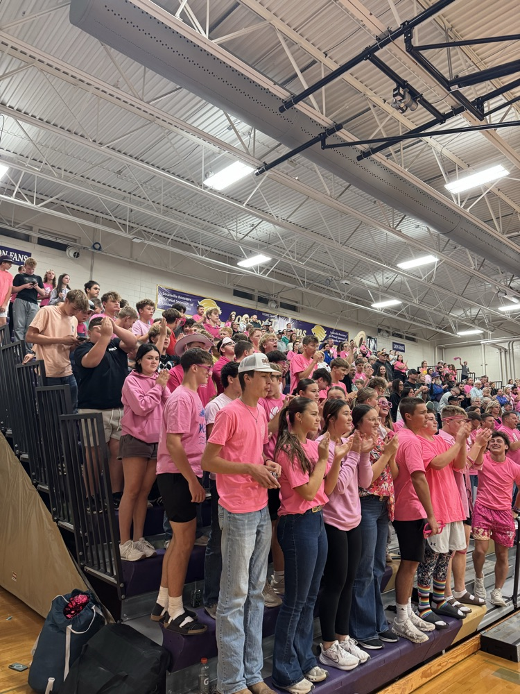 volleyball pink out