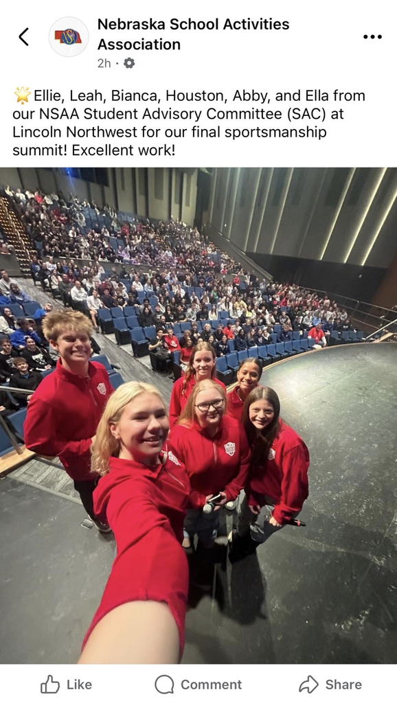 NSAA Student Advisory Committee 