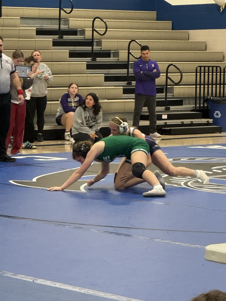 boys and girls wrestling at Malcolm