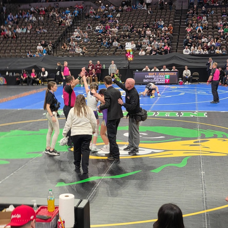 Maddie at state wrestling