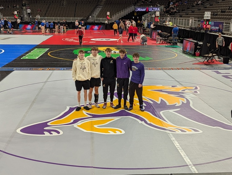 state wrestling 2026