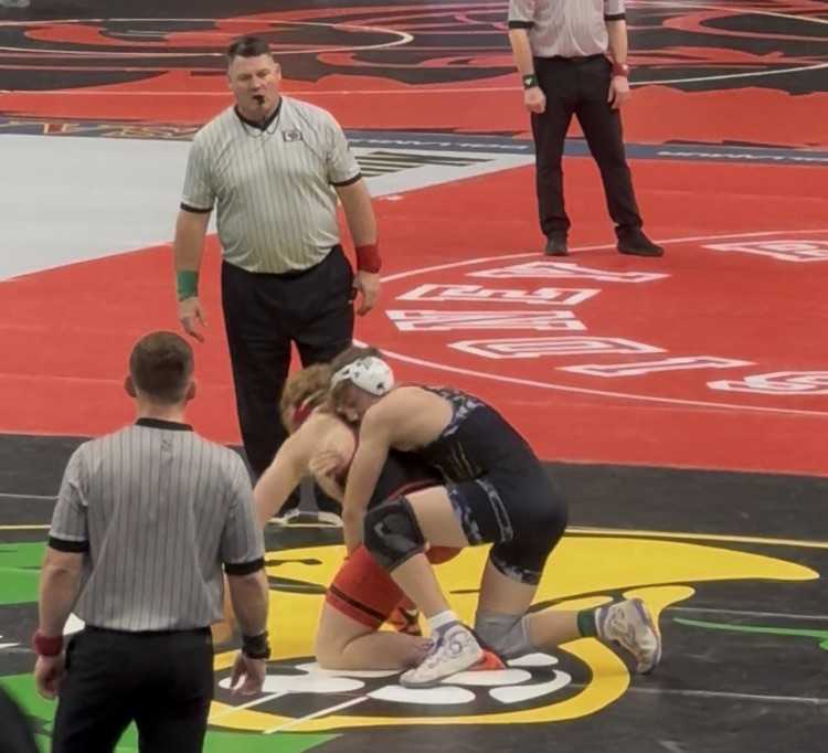 state wrestling 2026