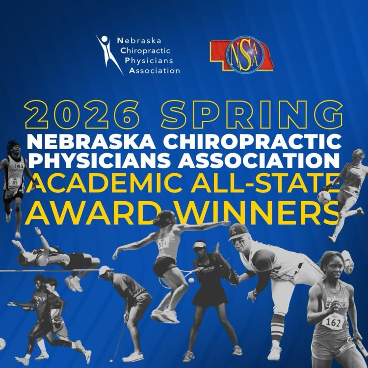 NSAA academic all state logo
