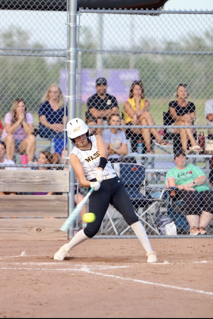 Cass wildcats softball