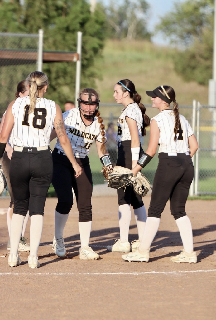 Cass wildcats softball