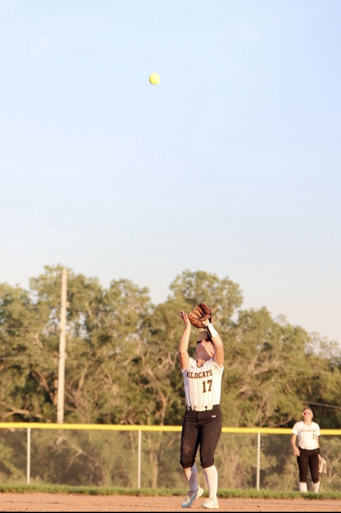 Cass wildcats softball